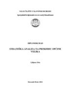 Strateška analiza na primjeru Općine Velika