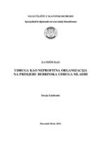 Udruga kao neprofitna organizacija na primjeru Bebrinska udruga mladih