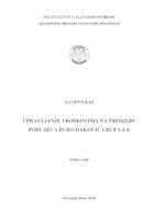 Upravljanje troškovima na primjeru poduzeća Đuro Đaković Grupa d.d.