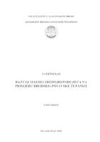 Razvoj malih i srednjih poduzeća na primjeru Brodsko-posavske županije