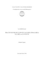 Praćenje proizvodnje jagode (Fragaria) na OPG-u Lovinčić