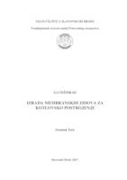 Izrada membranskih zidova za kotlovsko postrojenje