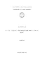 Način uzgoja i prerade jabuke na OPG-u Boić