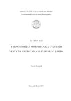 Taksonomija i morfologija cvjetnih vrsta na gredicama u Slavonskom Brodu