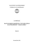 Razvoj sorte graševina u kutjevačkoj Zlatnoj dolini "Vallis Aurea"