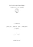 Uzgoj lavande na OPG-u Miroslav Jurlina