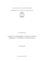 Održavanje preše za proizvodnju crijepa u tvornici Tondach d.o.o.