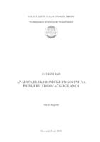 Analiza elektroničke trgovine na primjeru trgovačkog lanca