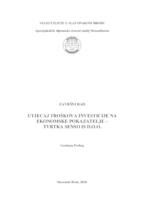Utjecaj troškova investicije na ekonomske pokazatelje - tvrtka SENSO IS d.o.o.
